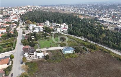 YALOVA MERKEZ FEVZİÇAKMAK TOPLAM 5 PARSEL 2322 M2 ARSA