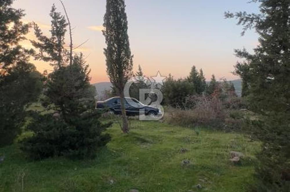 Bergama Kaşıkçı Köyünde 16.351,75 M2 Satılık Tarla