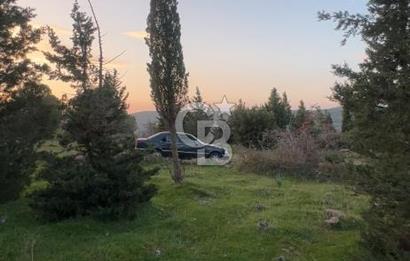 Bergama Kaşıkçı Köyünde 16.351,75 M2 Satılık Tarla