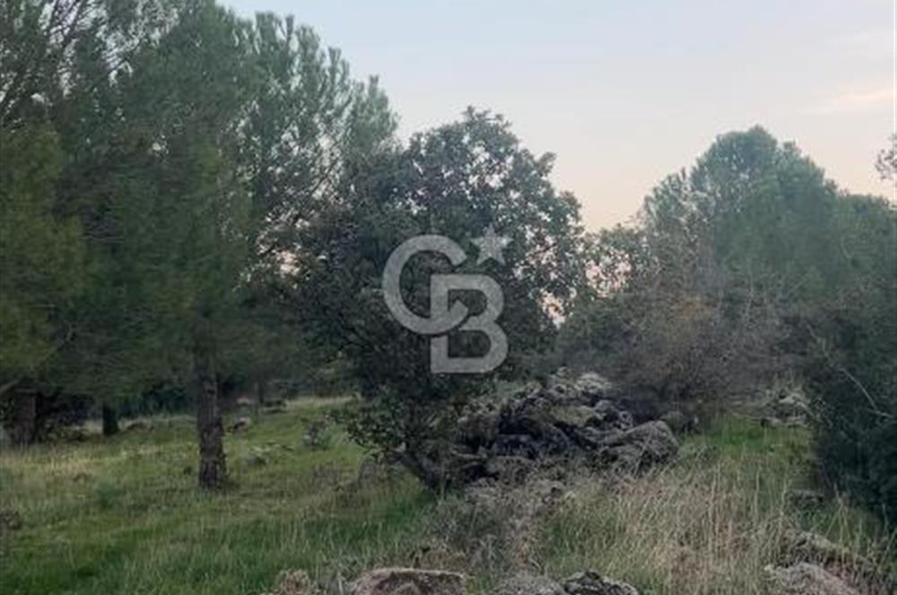 Bergama Kaşıkçı Köyünde 16.351,75 M2 Satılık Tarla