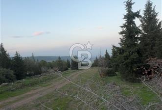 Bergama Kaşıkçı Köyünde 16.351,75 M2 Satılık Tarla - 4 - 314954