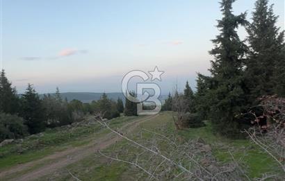 Bergama Kaşıkçı Köyünde 16.351,75 M2 Satılık Tarla