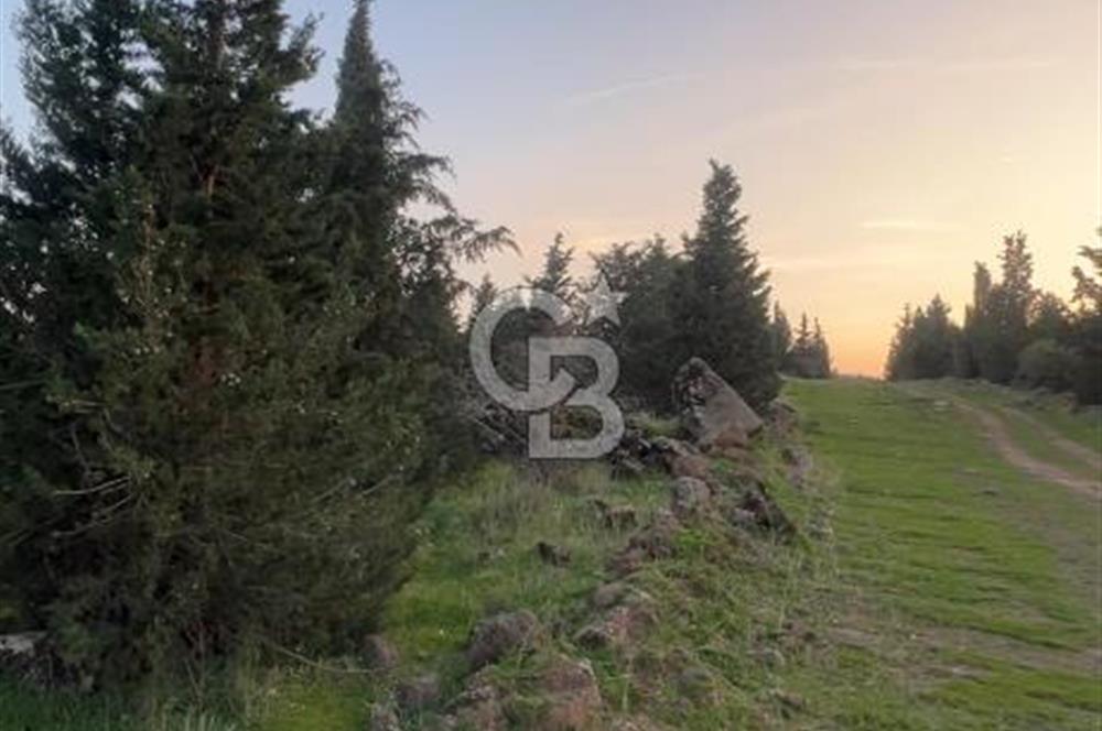 Bergama Kaşıkçı Köyünde 16.351,75 M2 Satılık Tarla