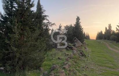 Bergama Kaşıkçı Köyünde 16.351,75 M2 Satılık Tarla