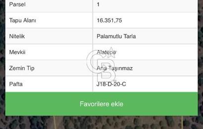 Bergama Kaşıkçı Köyünde 16.351,75 M2 Satılık Tarla
