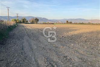 BAYINDIR ÇIRPI DA SATILIK İMARA YAKIN YATIRIMLIK TARLA - 2 - 314985