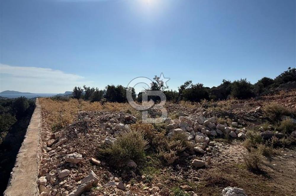 CB GİZ'DEN KAŞ GÖKSEKİ DE SATILIK TARLA