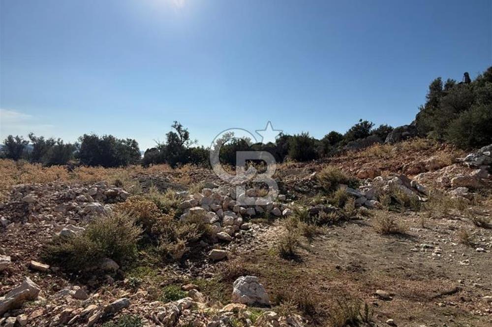 CB GİZ'DEN KAŞ GÖKSEKİ DE SATILIK TARLA