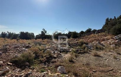 CB GİZ'DEN KAŞ GÖKSEKİ DE SATILIK TARLA