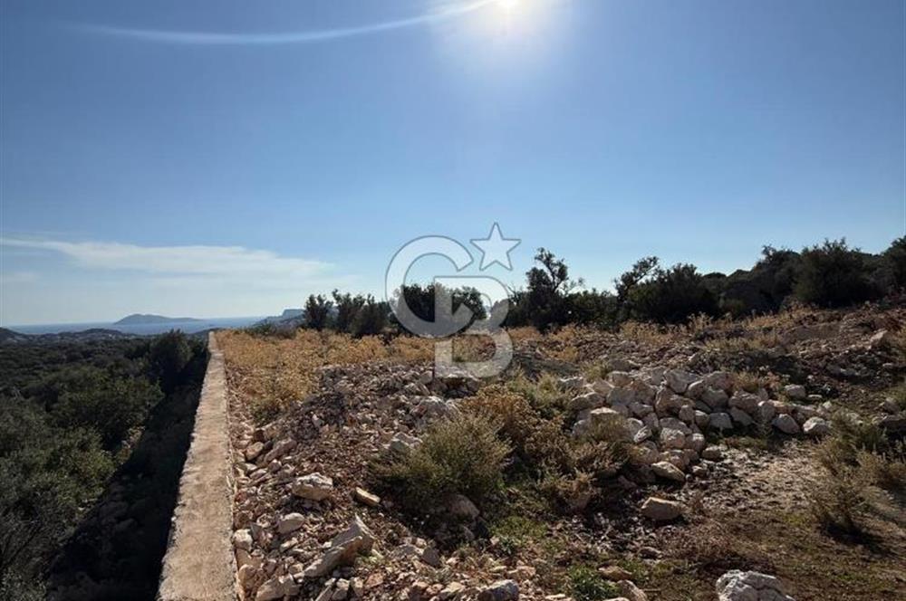 CB GİZ'DEN KAŞ GÖKSEKİ DE SATILIK TARLA