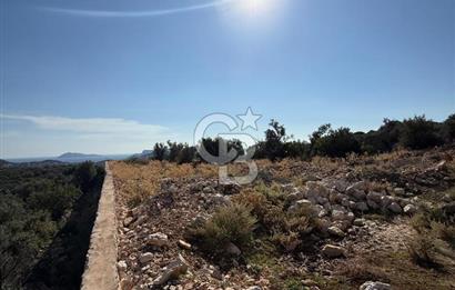 CB GİZ'DEN KAŞ GÖKSEKİ DE SATILIK TARLA