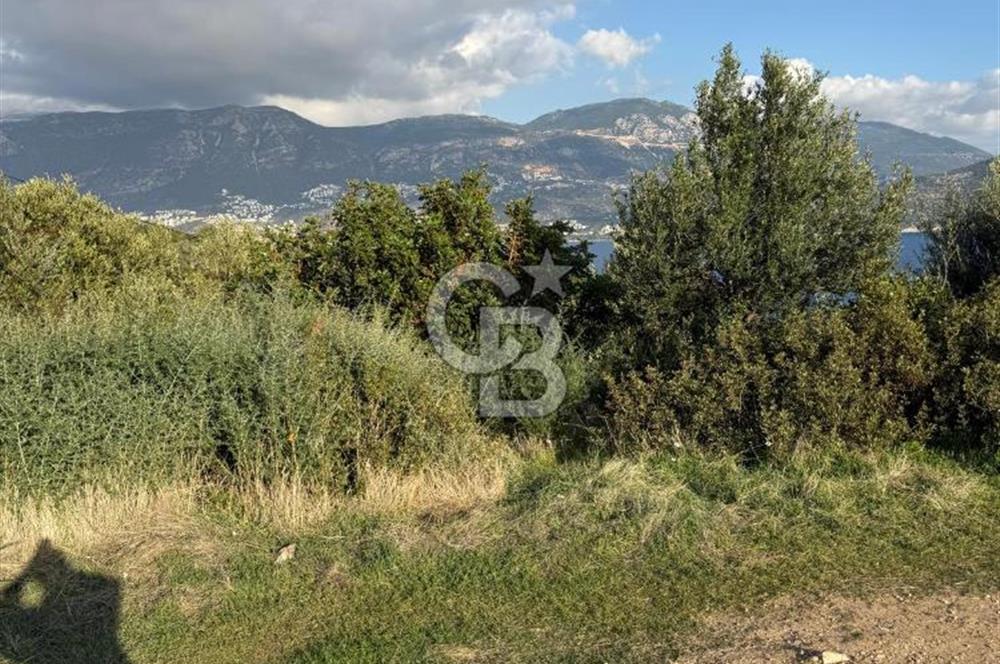 CB GİZDEN KAŞ YEŞİLKÖYDE SATILIK TARLA