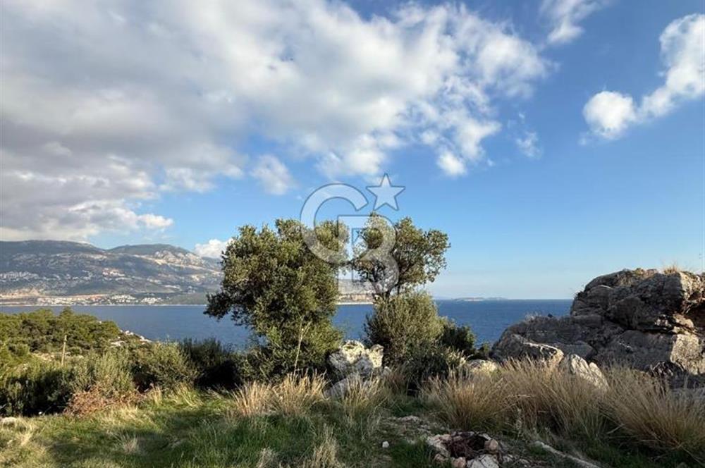 CB GİZDEN KAŞ YEŞİLKÖYDE SATILIK TARLA