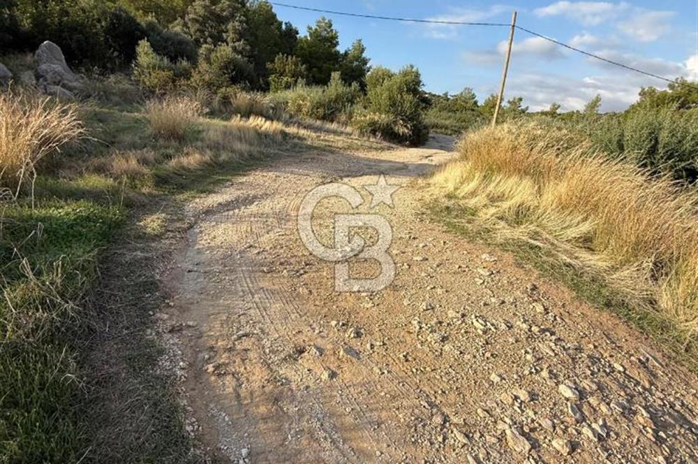 CB GİZDEN KAŞ YEŞİLKÖYDE SATILIK TARLA