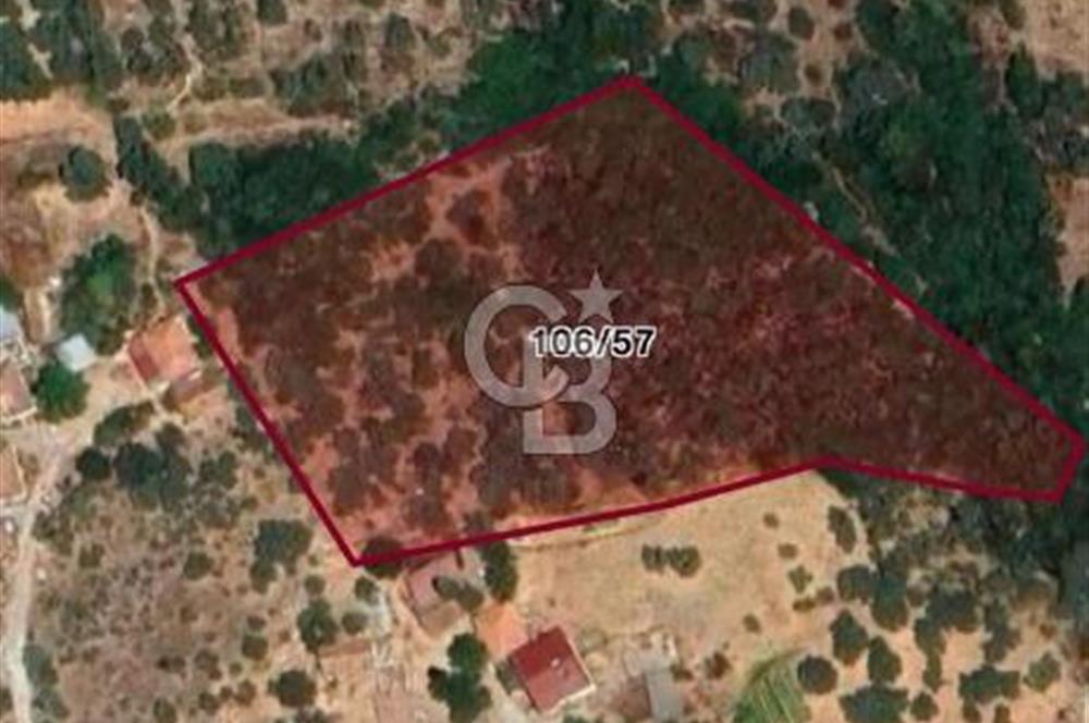 Milas Çamovalı'da Satılık 8 Dönüm Arsa