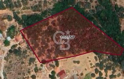 Milas Çamovalı'da Satılık 8 Dönüm Arsa