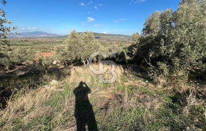 Milas Çamovalı'da Satılık 8 Dönüm Arsa