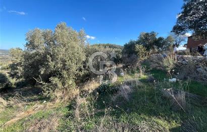 Milas Çamovalı'da Satılık 8 Dönüm Arsa