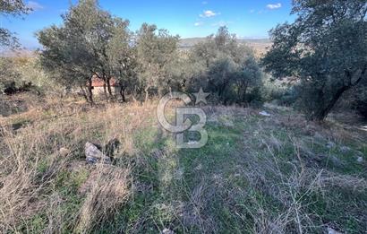 Milas Çamovalı'da Satılık 8 Dönüm Arsa