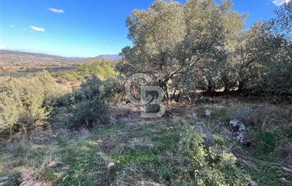 Milas Çamovalı'da Satılık 8 Dönüm Arsa