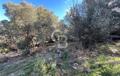 Milas Çamovalı'da Satılık 8 Dönüm Arsa