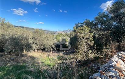 Milas Çamovalı'da Satılık 8 Dönüm Arsa