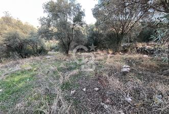 Milas Çamovalı'da Satılık 8 Dönüm Arsa - 1 - 315009