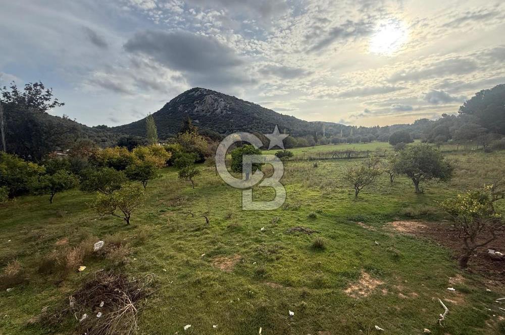 URLA ŞİRİNKENT MAH. YATIRIMLIK SATILIK MÜSTAKİL EV 