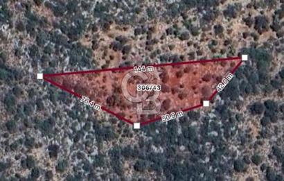 ANTALYA KAŞ DENİZE 319 M. TEK TAPU 3499 M2 SATILIK TARLA