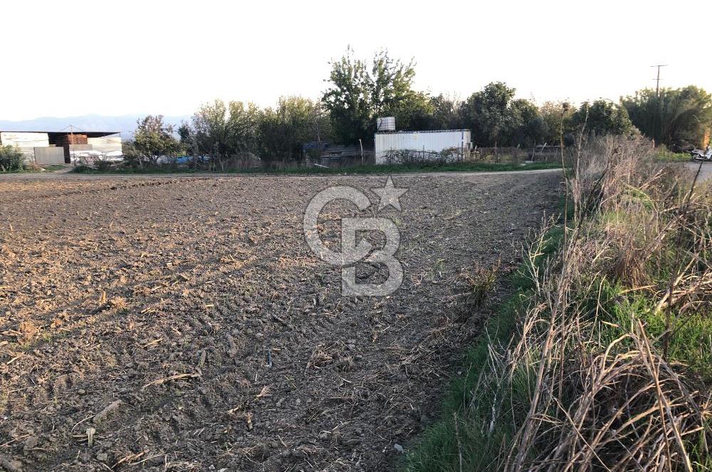 BAYINDIR ÇIRPI DA SATILIK İMARA YAKIN YATIRIMLIK TARLA