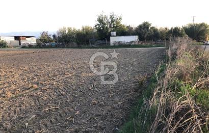 BAYINDIR ÇIRPI DA SATILIK İMARA YAKIN YATIRIMLIK TARLA