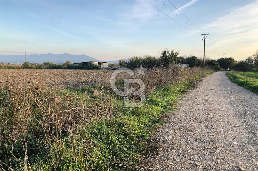 BAYINDIR ÇIRPI DA SATILIK İMARA YAKIN YATIRIMLIK TARLA