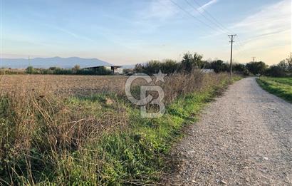 BAYINDIR ÇIRPI DA SATILIK İMARA YAKIN YATIRIMLIK TARLA