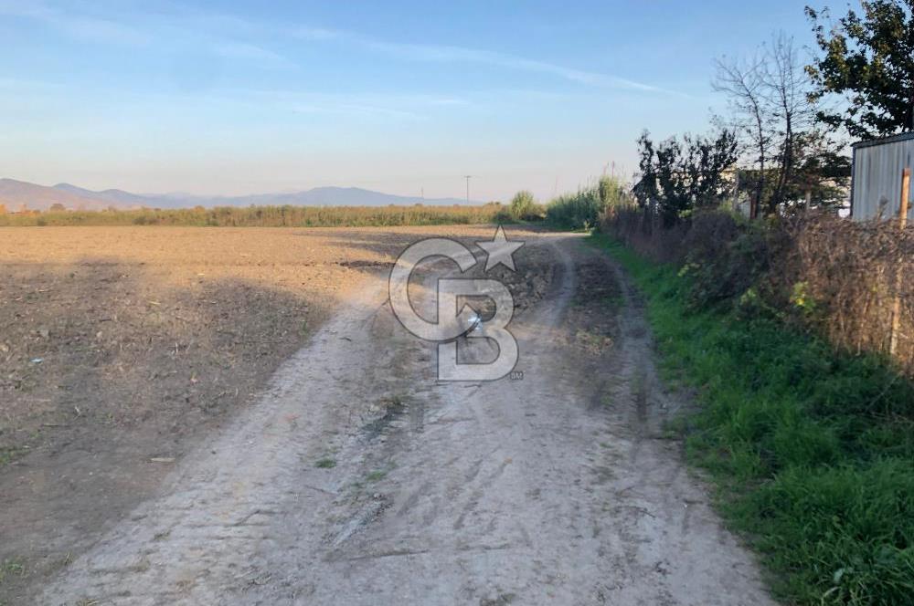 BAYINDIR ÇIRPI DA SATILIK İMARA YAKIN YATIRIMLIK TARLA
