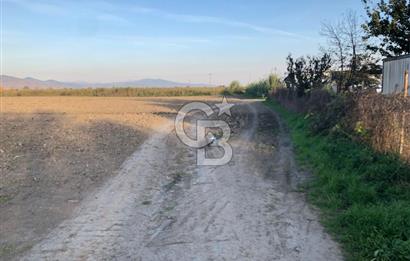 BAYINDIR ÇIRPI DA SATILIK İMARA YAKIN YATIRIMLIK TARLA