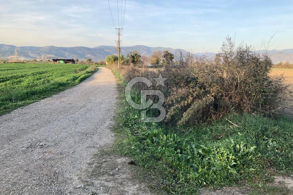 BAYINDIR ÇIRPI DA SATILIK İMARA YAKIN YATIRIMLIK TARLA