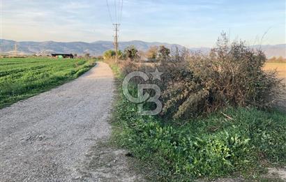 BAYINDIR ÇIRPI DA SATILIK İMARA YAKIN YATIRIMLIK TARLA