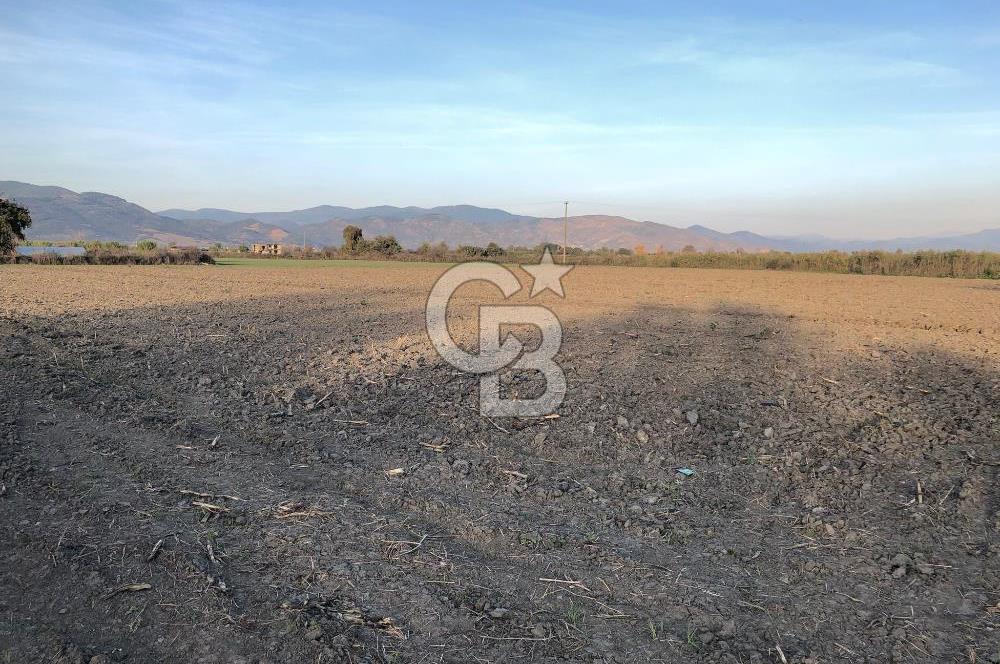 BAYINDIR ÇIRPI DA SATILIK İMARA YAKIN YATIRIMLIK TARLA