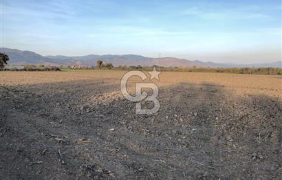 BAYINDIR ÇIRPI DA SATILIK İMARA YAKIN YATIRIMLIK TARLA