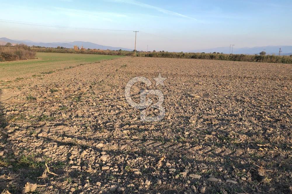 BAYINDIR ÇIRPI DA SATILIK İMARA YAKIN YATIRIMLIK TARLA
