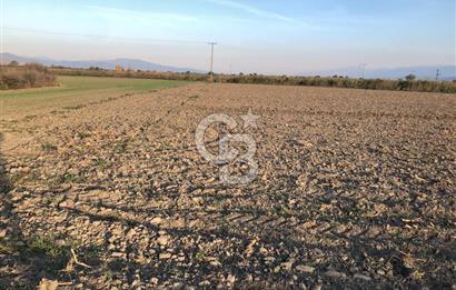 BAYINDIR ÇIRPI DA SATILIK İMARA YAKIN YATIRIMLIK TARLA