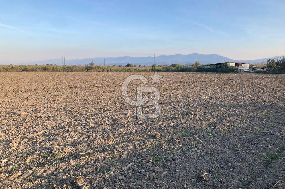 BAYINDIR ÇIRPI DA SATILIK İMARA YAKIN YATIRIMLIK TARLA