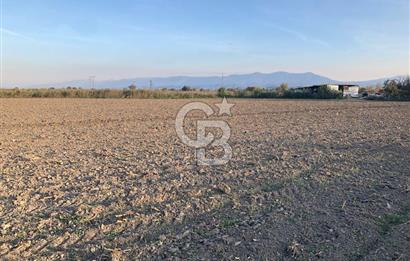 BAYINDIR ÇIRPI DA SATILIK İMARA YAKIN YATIRIMLIK TARLA