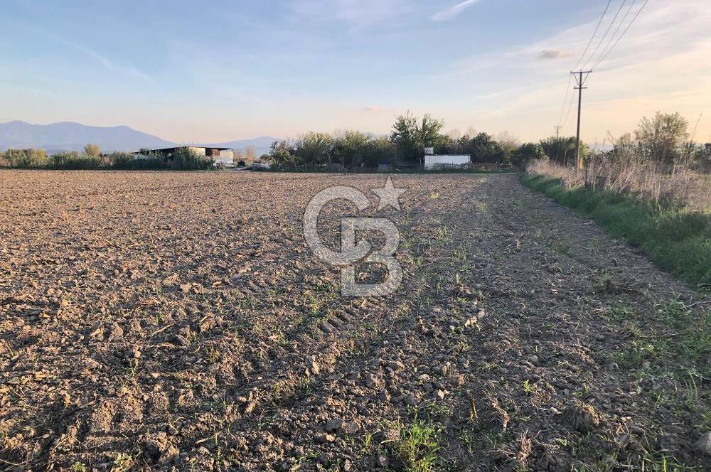 BAYINDIR ÇIRPI DA SATILIK İMARA YAKIN YATIRIMLIK TARLA