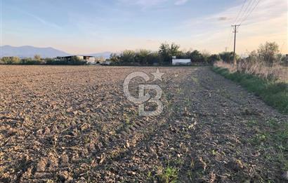 BAYINDIR ÇIRPI DA SATILIK İMARA YAKIN YATIRIMLIK TARLA