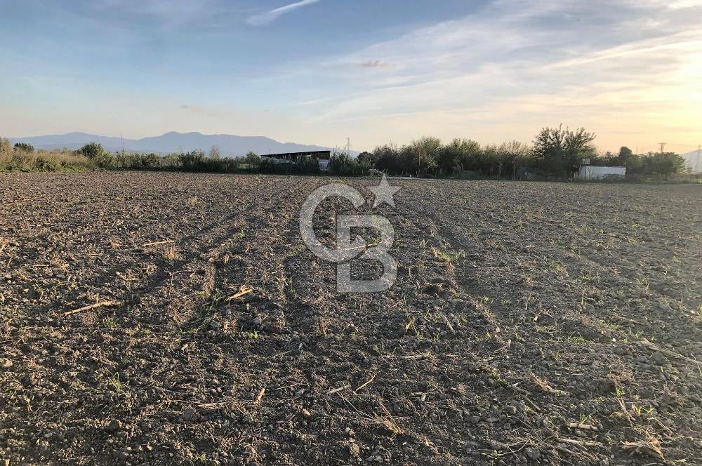 BAYINDIR ÇIRPI DA SATILIK İMARA YAKIN YATIRIMLIK TARLA