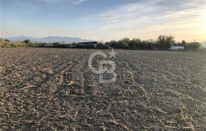 BAYINDIR ÇIRPI DA SATILIK İMARA YAKIN YATIRIMLIK TARLA
