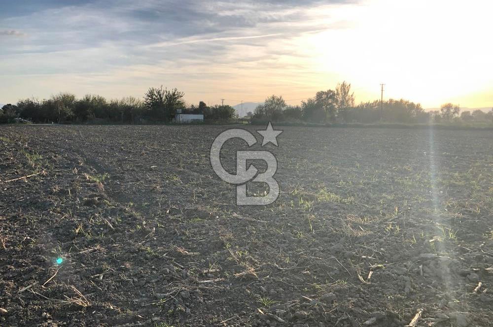 BAYINDIR ÇIRPI DA SATILIK İMARA YAKIN YATIRIMLIK TARLA