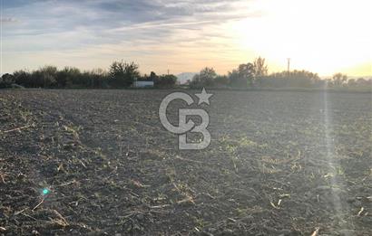 BAYINDIR ÇIRPI DA SATILIK İMARA YAKIN YATIRIMLIK TARLA