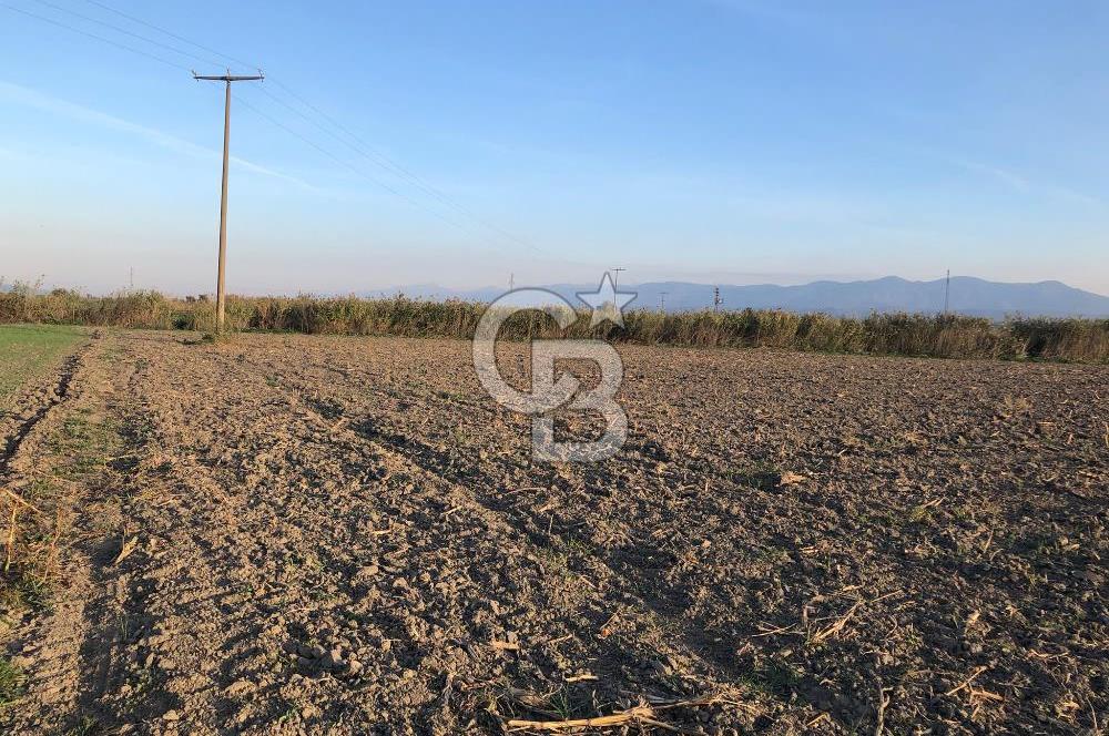 BAYINDIR ÇIRPI DA SATILIK İMARA YAKIN YATIRIMLIK TARLA